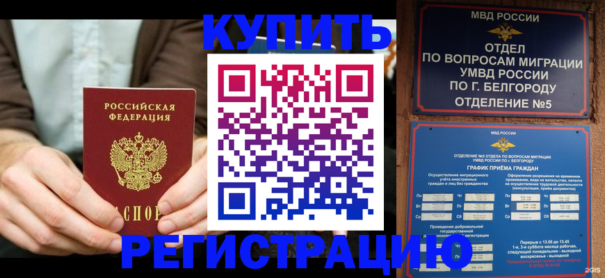 прописка 2025 в Кимовске